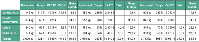 Figure 5 : Focus rendement, temps, chiffre d'affaires et marges brutes pour 5 cultures