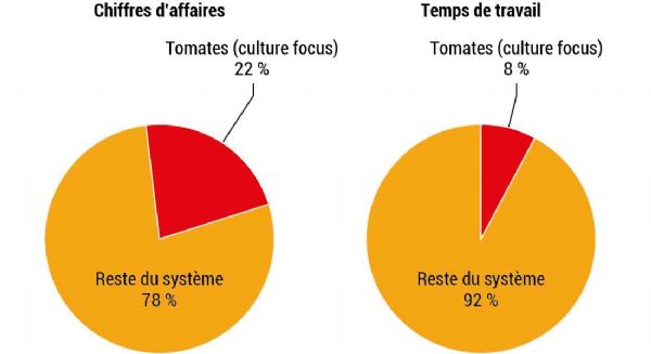Figure 6 : Pourcentage du chiffre d'affaires et temps de travail pour la tomate par rapport au système de production