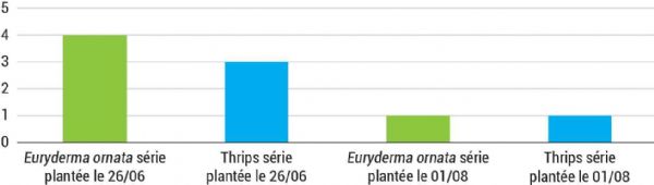 Figure 6 : Pression des bioagresseurs en date du 1er septembre 2023 (intensité de présence sur 20 choux de chaque série, échantillonnage réalisé indépendamment des variétés) Figure 6 : Pression des bioagresseurs en date du 1er septembre 2023 (intensité de présence sur 20 choux de chaque série, échantillonnage réalisé indépendamment des variétés)