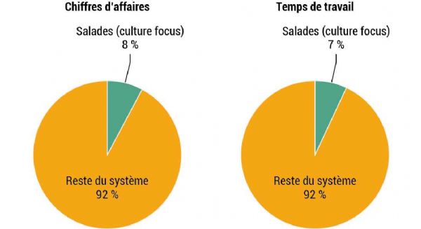 Figure 7 : Pourcentage du chiffre d'affaires et temps de travail pour les salades par rapport au système de production