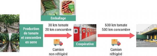 Figure 9 : Itinéraire post-récolte étudié en tomate et concombre
