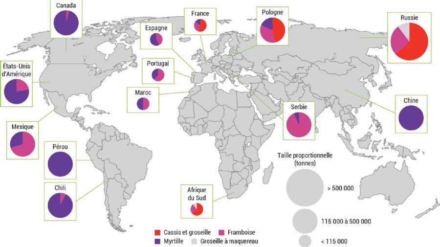 Figure 1 : Principales productions de petits fruits rouges dans le monde