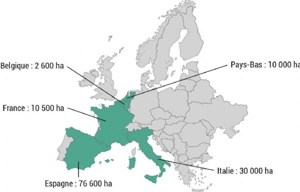 Figure 1 : Surfaces des abris dans les principaux pays européens