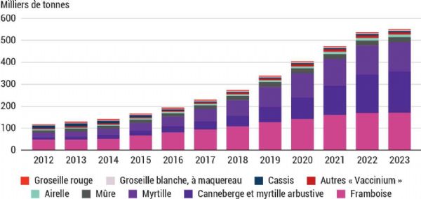 Figure 2 : Évolution des importations des petits fruits rouges frais, y compris les introductions, de l'Union européenne à 27