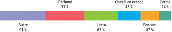 Figure 2 : Les critères d'un bon melon