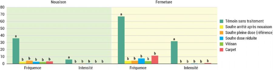 Figure 2 : Notation de l'oïdium sur grappe, Carpentras 2023