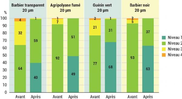 Figure 2 : Répartition des fruits selon le niveau de présence de paillettes avant et après lavage