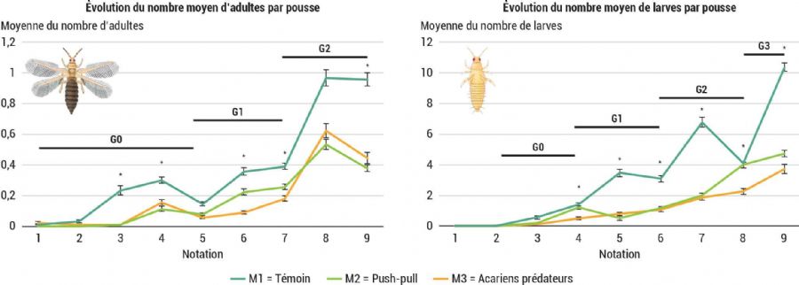 Figure 3 : Évolution du nombre moyen d'adultes et de larves de thrips par pousse de verveine selon les modalités et les semaines de notation lors d'un essai 2024 avec inoculation moyenne de 0,75 thrips/plante
