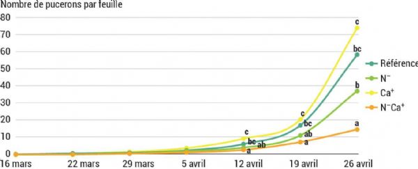 Figure 3 : Effectifs de pucerons sur feuille durant le 1er jet de production en 2023 ; comptage réalisé de façon hebdomadaire jusqu'à la fin du 1er jet de production
