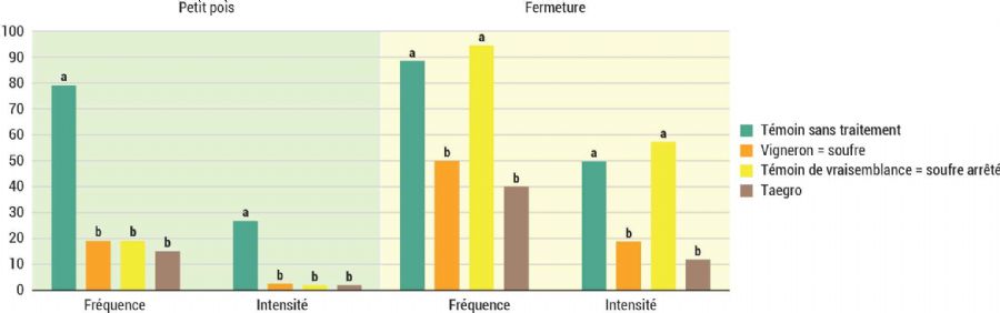 Figure 3 : Notation oïdium sur grappe, Chambre d'agriculture des Bouches du Rhône, Orgon 2024
