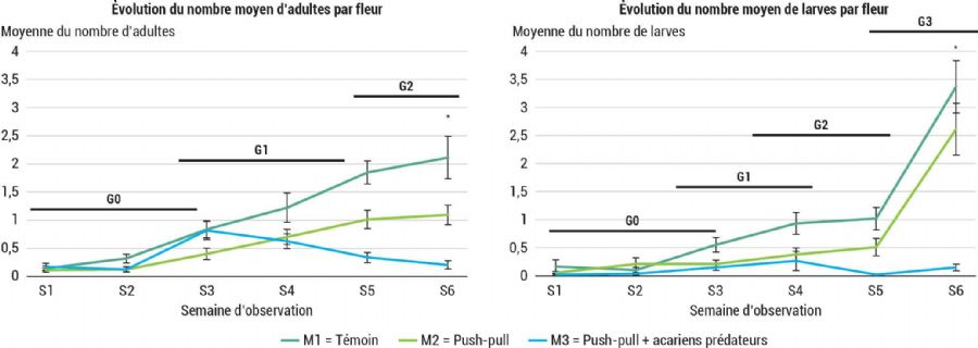 Figure 4 : Évolution du nombre moyen d'adultes et de larves de thrips par fleur de poivron selon les modalités et les semaines de notation lors de l'essai 2024 avec inoculation