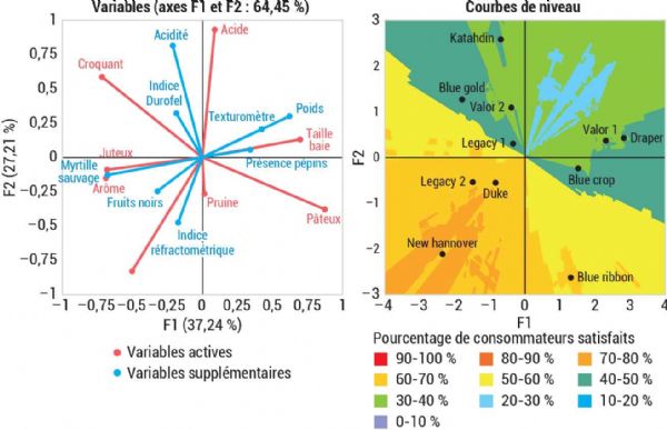 Figure 4 : Cartographie des préférences myrtilles
