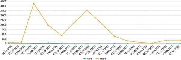 Figure 4 : Deux pics de populations également observés dans le verger d'abricotiers