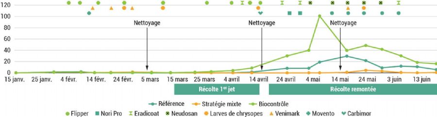 Figure 4 : Nombre de pucerons par feuille de l'inoculation à l'arrachage des plants, e, 2024
