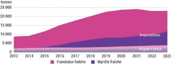 Figure 7 : Évolution de la taille du marché et de la part de l'offre françaises