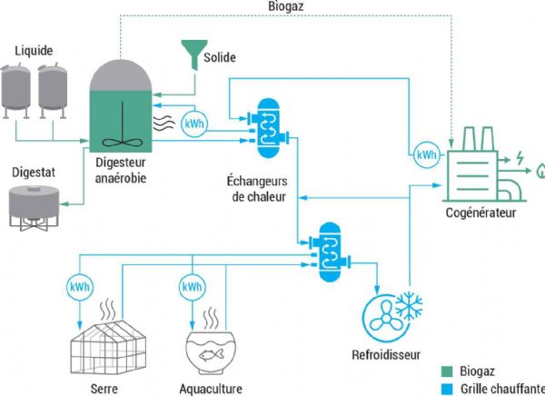 Figure 8 : Schéma technique du site pilote Inagro (Belgique)