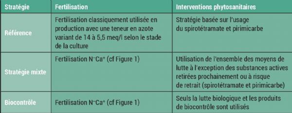 Figure A : Stratégies de lutte contre les pucerons testées en 2024 sur le centre CTIFL de Lanxade