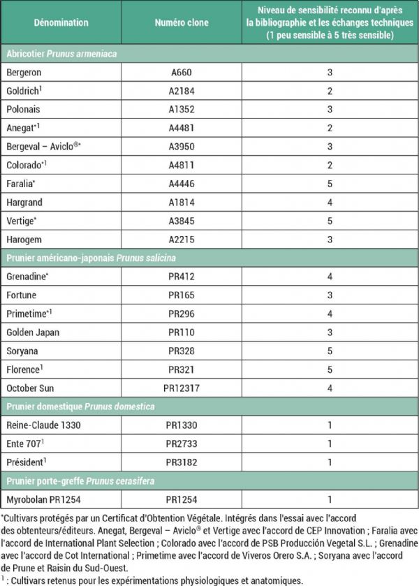 Figure 1 : Liste des cultivars de l'essai et leur niveau de sensibilité à l'ECA