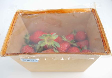 Figure 2 : Barquette de fraises Figure 2 : Barquette de fraises