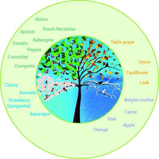 Figure 7: Species studied - each species is associated with the season when purchases are highest.