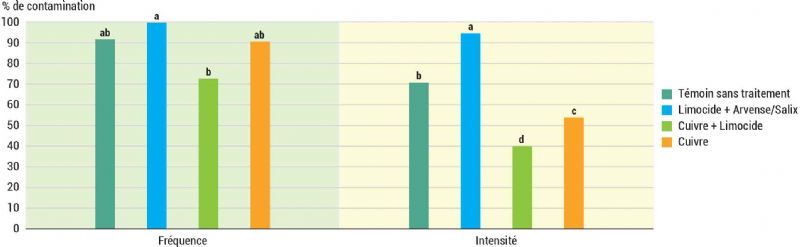 Figure 9 : Notation du mildiou sur grappes (début véraison), Orange 2024 Figure 9 : Notation du mildiou sur grappes (début véraison), Orange 2024