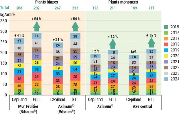 Figure 3 | Buckeye®GALA Simmonscov Production en Kilogramme par arbre selon les conduites, les types de plants et les porte-greffe après dix années, CTIFL Lanxade.