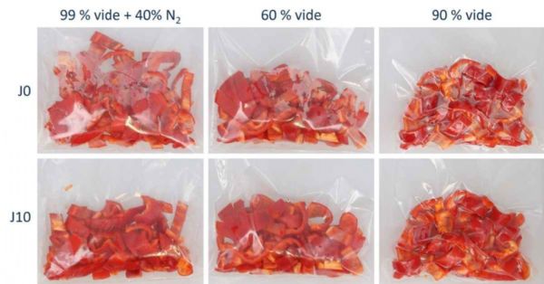 Figure 6 : Différentes conditions de conditionnement sous vide testées pour le poivron en morceaux