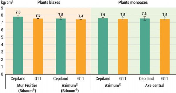 Figure B : Buckeye® GALA Simmons cov , fermeté des fruits (kg/cm²) à la récolte selon les conduites, les types de plants et les porte-greffe après dix année, CTIFL Lanxade.