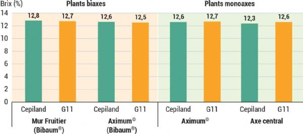 Figure C : Buckeye® GALA Simmons cov, teneur en sucres des fruits (% Brix) à la récolte selon les conduites, les types de plants et les porte-greffe après dix année, CTIFL Lanxade.