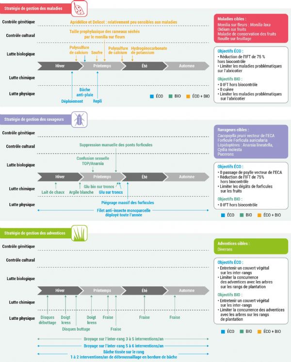 infos409 mirad encart 01
