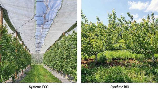 infos409 mirad fig01